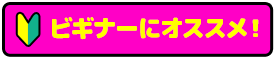 ビギナーにオススメ！
